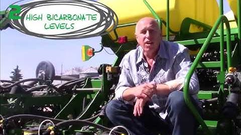 Iron Deficiency Chlorosis (IDC) in Soybeans