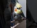 Oi pessoal!!