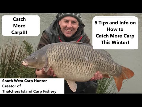 5 Tips and Info on How to Catch More Carp This Winter