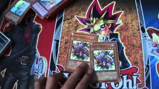 Yugioh Locals WINNING Inzektor Deck Profile!!!!!!! (3-0) June 2012