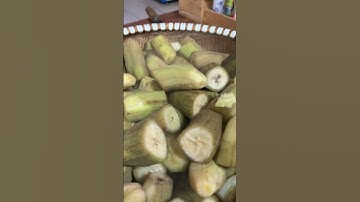 Chuối xanh làm món gì ngon ? #luontv #food #luonxunghe #chuoixanhlammongingon