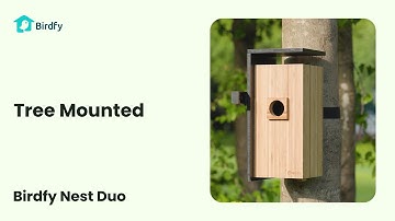 (New Version) Tree Mounted - Birdfy Nest Duo Tutorial