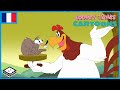 Looney Tunes Cartoons en français 🇫🇷| Charlie et la belette