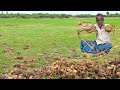 COUNTRY CRABS HUNTING | KULATHU  NANDU VETTAI |SPICY CRABS FRY | Prepare by KARUPPASAMI -KGF