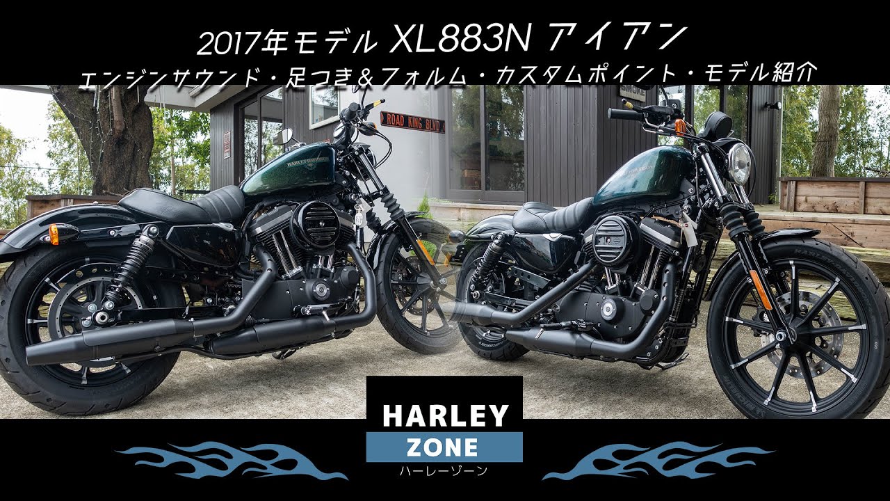 2017 Model XL883N Iron Specially Selected Used Vehicle!!!