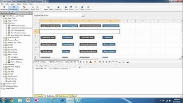 Page Layout Customization - Iron Speed Designer V11.0