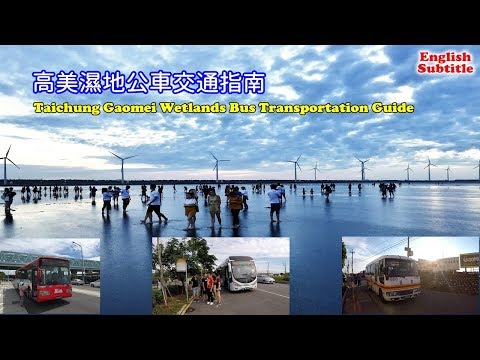 [台中景點高美濕地公車指南] 教你如何在台中高鐵站、台中火車站和清水火車站搭公車，讓你安排行程不煩惱