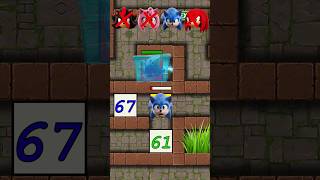 NEW SONIC MAZE CHALLENGE - Sonic vs Meta Sonic: The Ice Seal Has Broken... The Enemy Is Awake #sonic