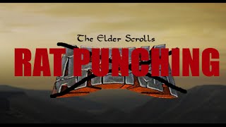 Elder Scrolls: 17 Years of Punching Rats screenshot 4