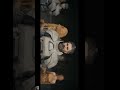 Dune Parody (pt1) ft. James Reeves, Hoplophile, Brass Facts, #brandonherrera & more! #parody #funny