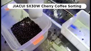 Jiacui color sorter for coffee cherries JC SX30W high performance #coffee #coffeeplant #coffeefarm