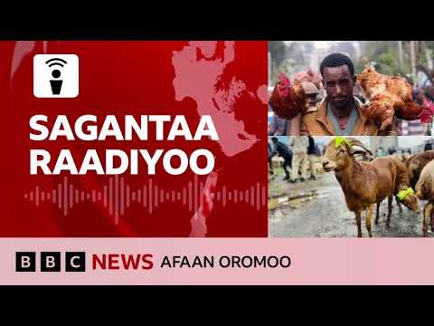 Sagantaa Raadiyoo BBC Afaan Oromoo Fulbaana 10 2025 BBC News Afaan Oromoo 