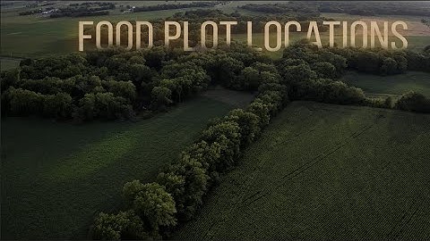 Building Whitetails – Designing Fall Food Plots