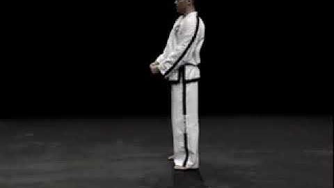 Four Direction Block / Saju Makgi 1/4