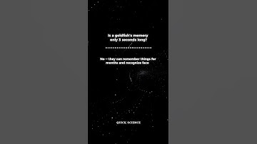 Do Goldfish Really Have 3 Second Memory ?