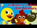 Aprender os Nomes e os Sons dos Animais | As primeiras palavras para crianças de colo |BabyFirst
