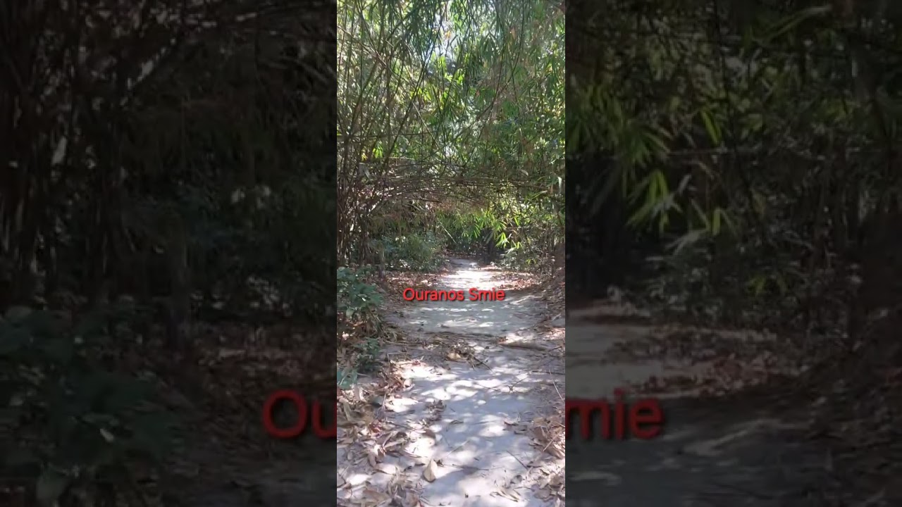 Cr เพลง รักเธอทั้งหมดของหัวใจ(Eng-Sub) 3-gp   มอบให้ดวงจิตที่อยู่ในโลกทิพย์..🖤#นิลดำ