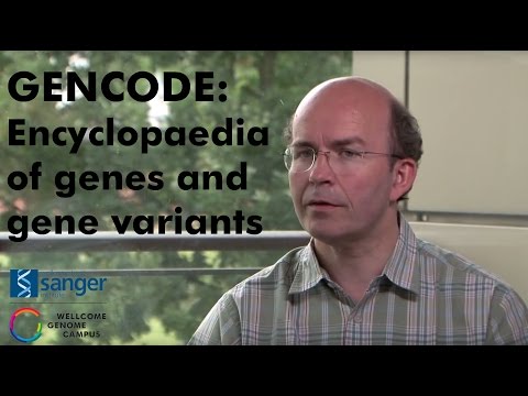 Video: GENCODE-pseudogenresursen