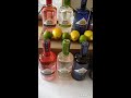 Презентация различных видов Джина / Gin Präsentation in Flensburg