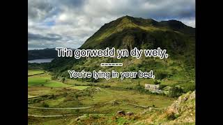 Calfari - Gwenllian geiriau/lyrics