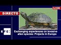 Intercambio de experiencias sobre proyectos de especies exóticas invasoras en Europa: Segunda sesión