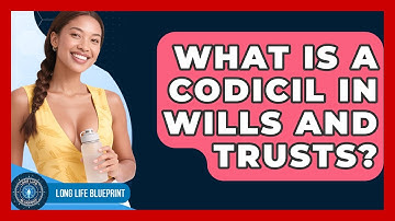 What Is A Codicil In Wills And Trusts? - Long Life Blueprint