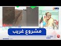 طالع هابط الشيخ النوي شاهد أغرب مشروع في العالم ببلدية عقب الليل في ولاية عين تموشنت طالع هابط الشيخ النوي شاهد أغرب مشروع في العالم ببلدية عقب الليل في ولاية عين تموشنت