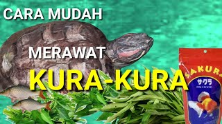 EASY WAY TO CARE FOR TURTLES