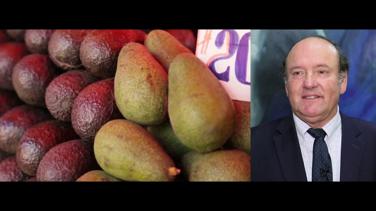 senado reforma da previdencia Diputado Ramón Barros y la promoción de la agricultura sostenible