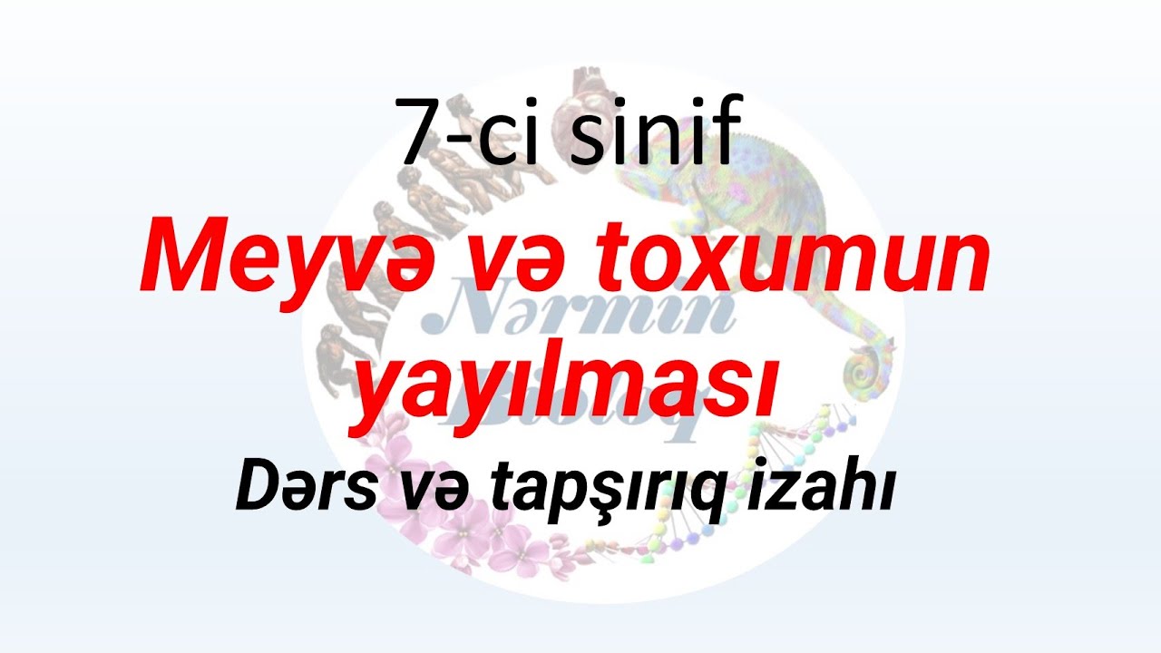 Meyvə və toxumların yayılması. dərs və tapşırıq izahı