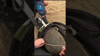 Baby Seal Rescued From Rope #shorts