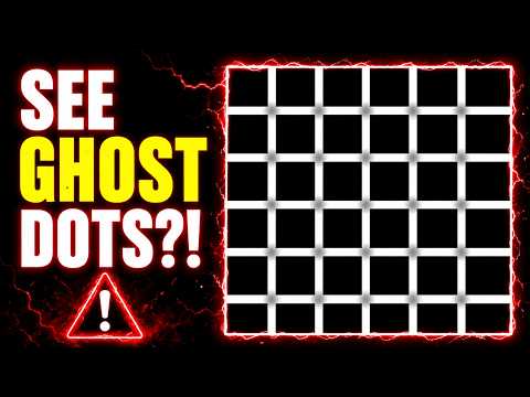 Do You See the Ghost Dots? | Hermann Grid Explained