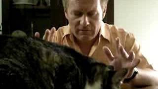 bradbavarde: The Landmark Forum for Cats bradbavarde: The Landmark Forum for Cats
