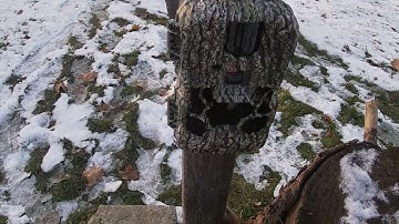 Setting up my new Stealth Cam Trail camera.  3rd time the charm?
