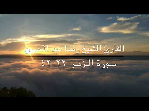 الشيخ رضا عبد المحسن المصري من سورة الزمر 22 42 رمضان 2017 