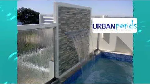 Therese - Urban Ponds