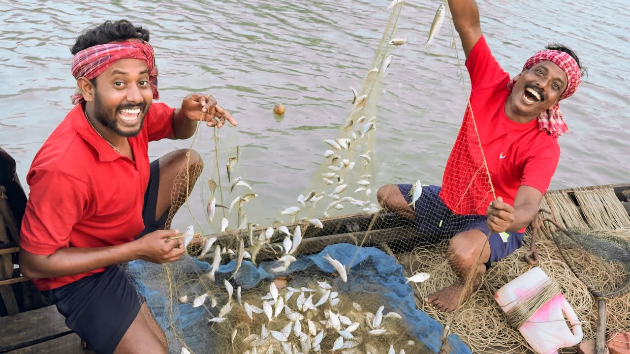 আজ জালে অনেক মাছ বাধার কারণে,জলের সোল ডুবে গেল Sundarban net fishig!!!