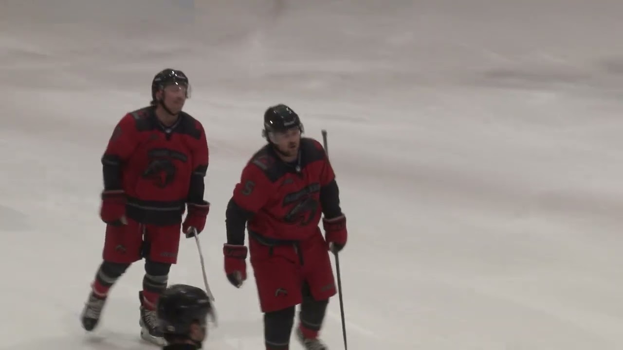 MIHL Feb 21st MI Shadow