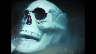 Caprae Idolum - Black Magic Bordello