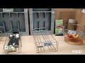 Wilcon Kitchen Cabinet Organizer | Pull-out Basket | Updated Prices