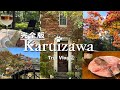 【軽井沢vlog②】完全版|秋の紅葉🍁見て損なし！／軽井沢はここに行ったら間違いなしな最高プラン／2泊3日日本旅／犬と一緒フルコース