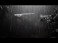 Rain Sounds For Sleeping - 99% Instantly Fall Asleep With Rain And Thunder Live #liverainsounds
