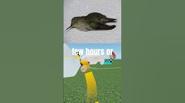 Weird History Facts You Won