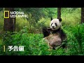 キングダム・オブ・チャイナ：隠された大自然 - 予告編 | ナショジオ