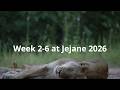 Week 2 6 At Jejane Jan Feb 2026