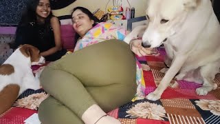 I Had A Lot Of Fun Today Wow What A Thing It Is, Watch This Fun Vlog Video Completely