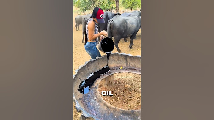 Why Farmers Feed Molasses to Cows