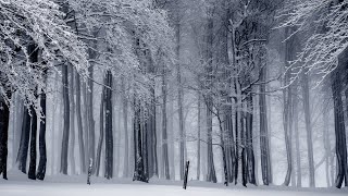 Winter Wind With Snow Fall Sound Effects | Copyright Free Nature Sounds