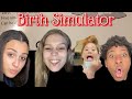 Birth Simulator Challenge-PAINNN