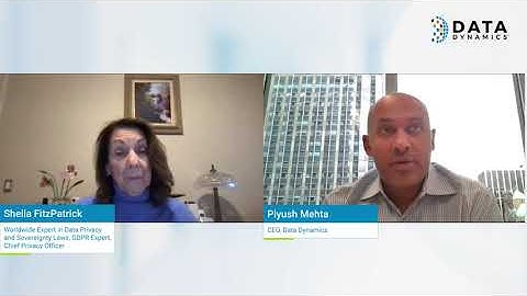 Mastering Data Privacy Risks: Insights from Sheila FitzPatrick